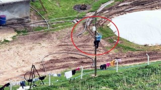 Dronu görünce kaçak hatları iptal etti