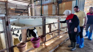 Düzcede ari işletme sayısı artıyor