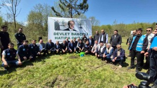 Düzcede Devlet Bahçeli Hatıra Ormanına fidan dikildi