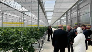 Düzceden Seracılık İhtisas Organize Tarım Bölgesinde inceleme