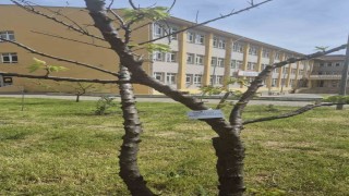Edirne İlhami Ertem Anadolu Lisesi öğrencilerinden anlamlı etkinlik