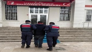 Edirnede göçmen kaçakçılığı operasyonu: Filistinli organizatör yakalandı