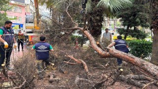 Efeler Belediyesi parkları güvenli hale getiriyor