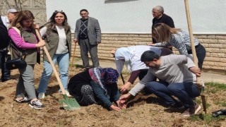 Elazığda  fidan dikme etkinliği
