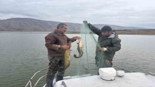 Elazığda su ürünleri araştırma çalışmaları sürüyor