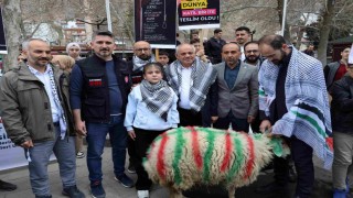 Elleriyle besleyip büyüttüğü kuzuyu Gazzeye bağışladı