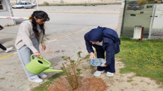 Emet MYO kampüsüne gül fidanı dikimi