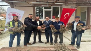 Emette 35 üreticiye 980 adet üzüm fidanı dağıtıldı
