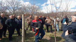 Erzincanda çiftçilere budama eğitimi verildi