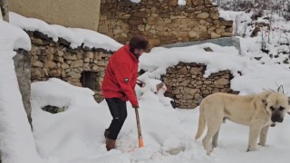 Erzincanda hava soğudu, yüksek kesimlere kar yağdı