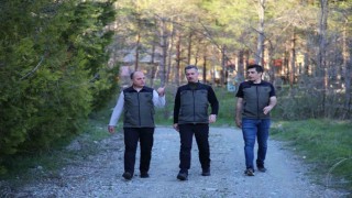 Erzincanda orman projeleri incelendi