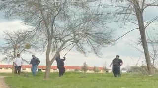 Eskişehirde ‘mangal için ağaç dalını kırmaya çalıştılar iddiası
