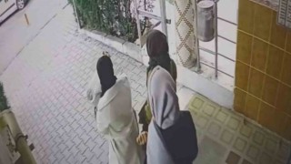 Ev fareleri kameraya yakalandı