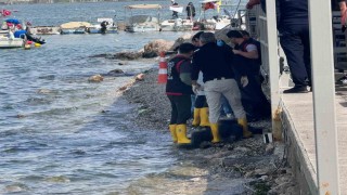 Fethiye Körfezinde erkek cesedi bulundu