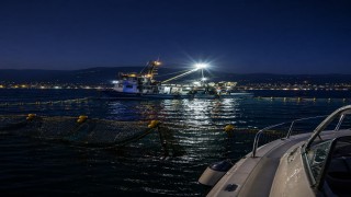 Gemlik Körfezinde sardalya avcılığı başladı