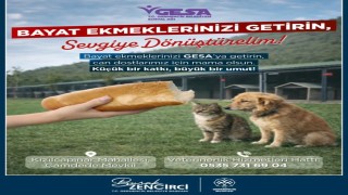 Germencikte bayat ekmekler can dostlara mama oluyor