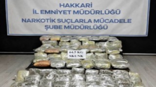 Hakkaride 64,5 kilogram skunk ele geçirildi