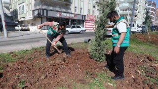 Haliliyede yaz öncesi parklarda hummalı çalışma