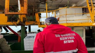 Hamsi kotası için Didimde denetim yapıldı