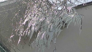Hava sıcaklığı eksi 10a düştü, ağaç dalları dondu