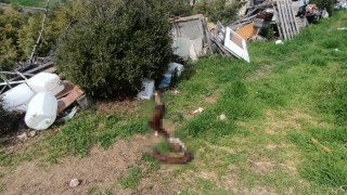 Hepsi zabıta ekiplerinin baskınında ortaya çıktı