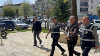 İnsan kaçakçısı tır sürücüsü tutuklandı