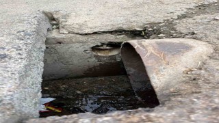 İskenderunda rögar borusuna düşen yavru kediler kurtarıldı