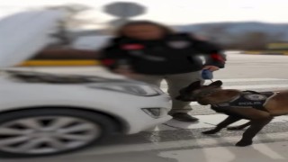 Ispartada 1 haftalık narkotik operasyonlarında 4 şüpheli tutuklandı