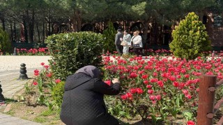 İstanbulda lale zamanı başladı, Pendik Korusunda renk cümbüşü yaşandı