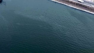 İzmir Körfezinde kirlilik alarmı: Aynı tehdit 11. kez görüldü