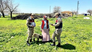 Jandarma ekipleri KADES uygulamasını tanıttı