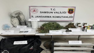 Jandarmadan evde kenevir operasyonu