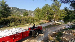 Kaçak döküm yapanlar fotokapandan kaçamadı