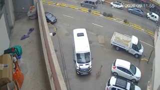 Karaca Giresunun Görele ilçesinde şehir merkezine indi: iki araca çarptı, gözden kayboldu