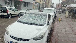 Karlıovada nisan karı etkili oldu