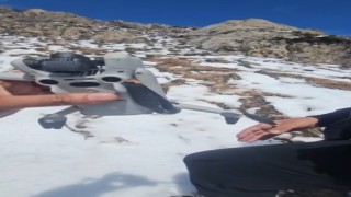 Kartal droneyi havada kaptı, zirvede bıraktı