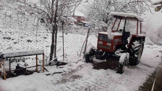 Kavakta kar yağışı