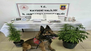 Kayseride uyuşturucu operasyonu