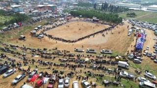 Kemalpaşada 3. Boğa Güreşi Festivali heyecanı