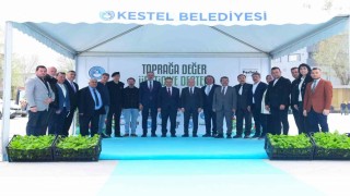 Kestelde üreticiye 6 bin ahududu fidanı desteği