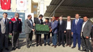 Kiliste 320 çiftçiye üzüm şalı, 250 çiftçiye 400 bin fide desteği
