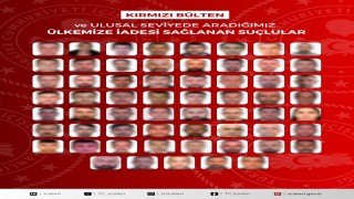 Kırmızı bültenle ve ulusal seviyede aranan 61 kişi Türkiyeye iade edildi
