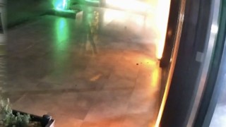 Kocaelide oto galeriye el bombalı saldırı: 5 kişi tutuklandı