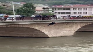 Köprüden nehre atlayan şahsı ekipler kurtardı: O anlar kamerada