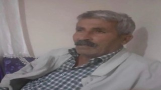 Kovalamaca sonucu yola çıkan inek, sahibini canından etti