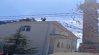 Kovancılarda mahsur kalan kedi kurtarıldı