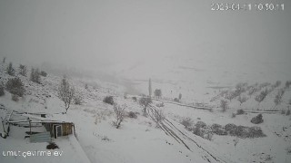 Köye inen kurt sürüsü kameraya yansıdı