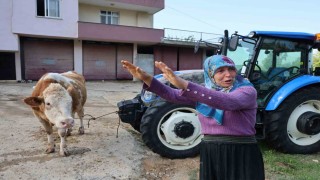 Kozandaki selde hayvanları telef olan kadın: Bir anda sel geldi, ahırın üstünü aştı