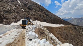 Kulpta çığ ve heyelan nedeniyle hasar gören yollar onarılıyor