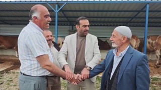 Kurban pazarında hareketlilik başladı